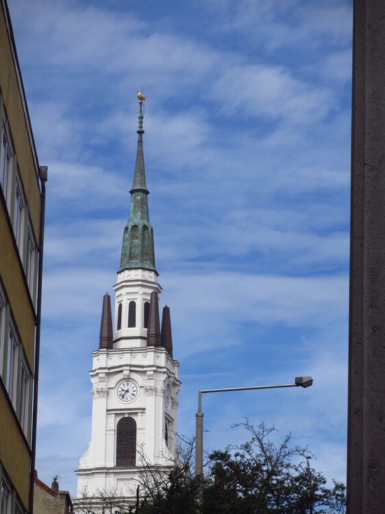 IMG_7503.JPG