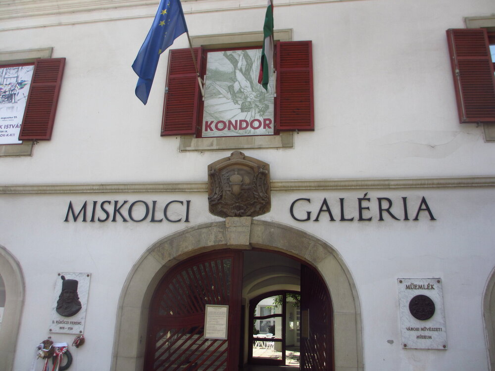 IMG_7534.JPG
