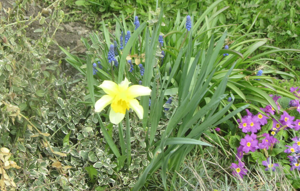 IMG_8490.JPG
