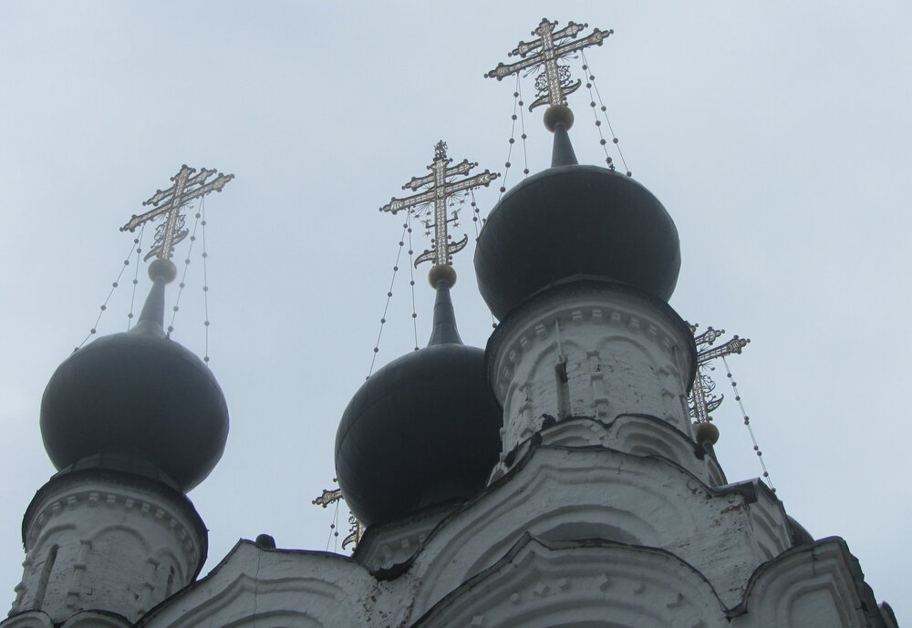 IMG_8541.JPG