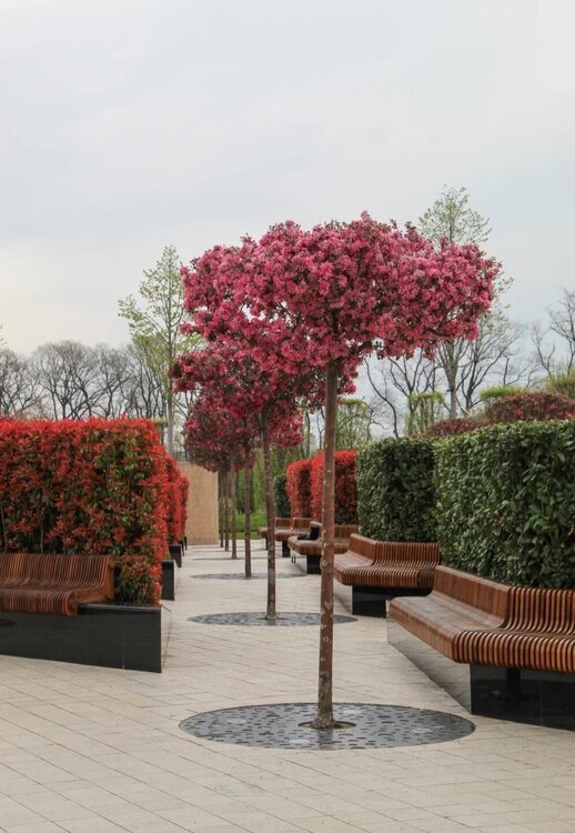 Screenshot_20260422_035145_Samsung Internet.jpg