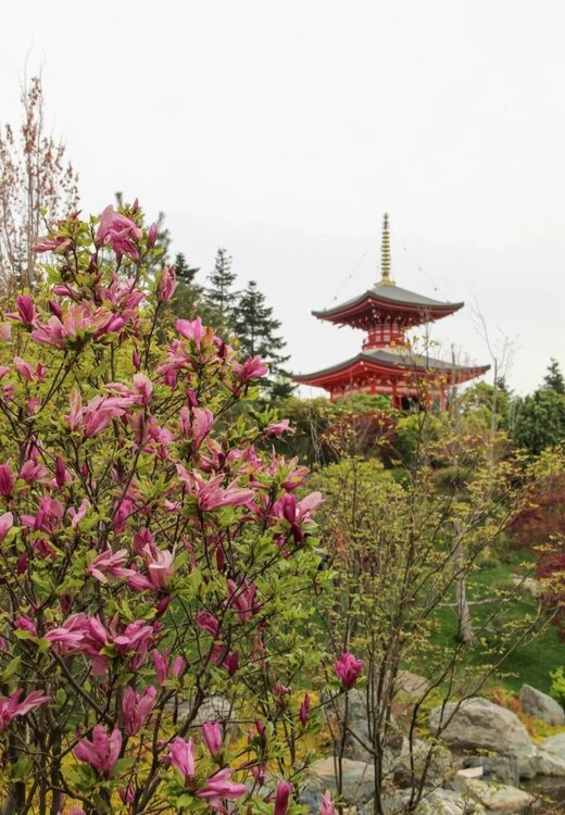 Screenshot_20260422_035229_Samsung Internet.jpg