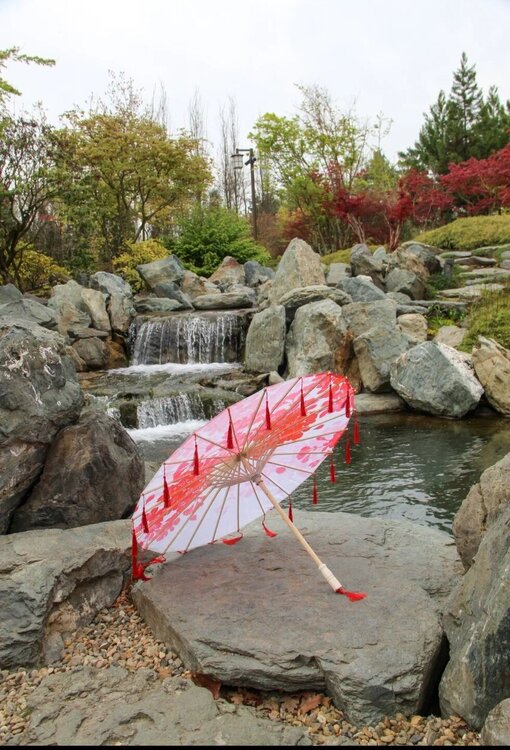 Screenshot_20260422_035406_Samsung Internet.jpg