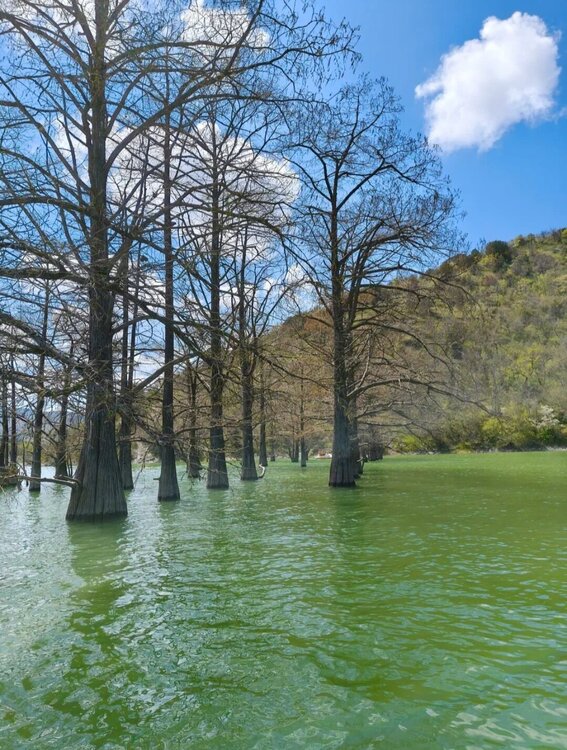 Screenshot_20260422_040230_Samsung Internet.jpg