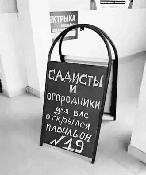 photo_2026-01-25_01-05-41 (2).jpg