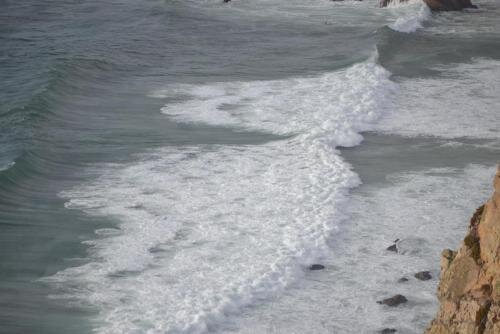 post-29384-0-06099400-1456260830_thumb — копия.jpg