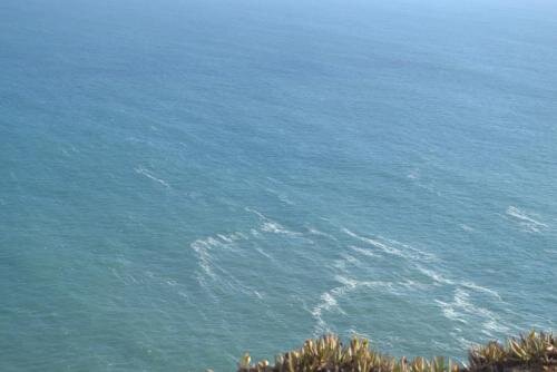 post-29384-0-10190600-1456261158_thumb — копия.jpg