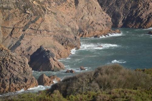 post-29384-0-88693900-1456336415_thumb — копия.jpg