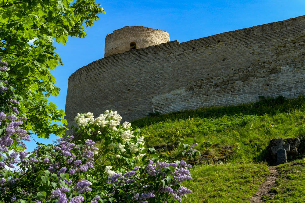 shutterstock_2172623139 — копия.jpg