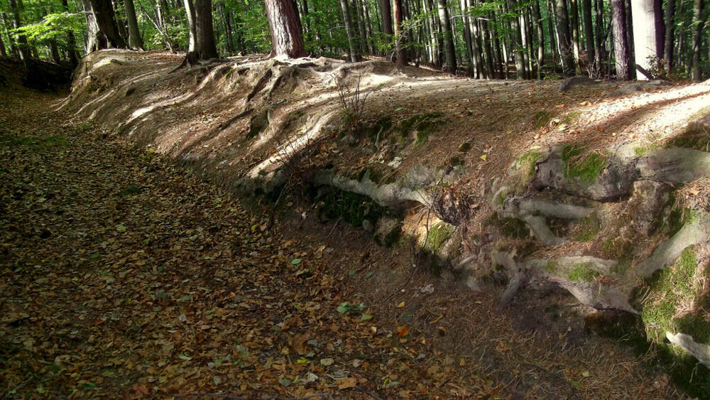 1-Золотые стёжки Чешского Рая 1253.JPG