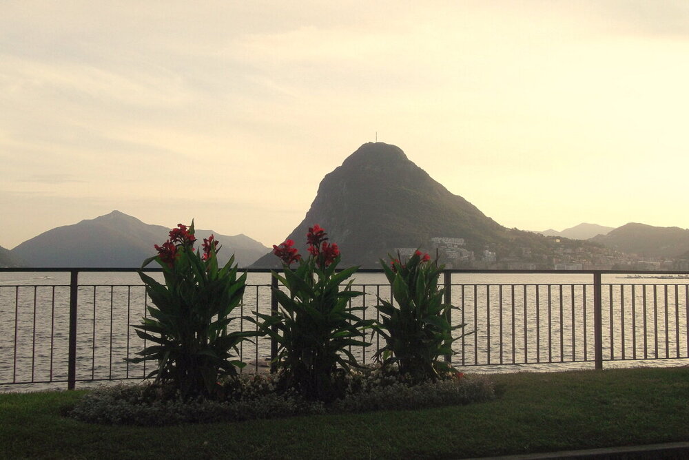 1-DSCF0031.JPG