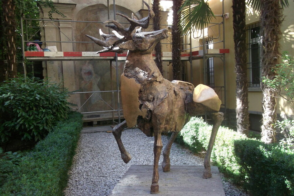 1-DSCF9960.JPG