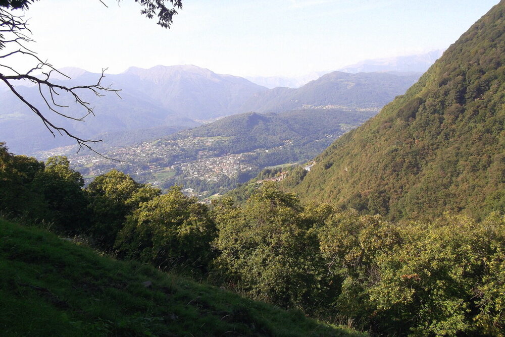 1-DSCF9987.JPG