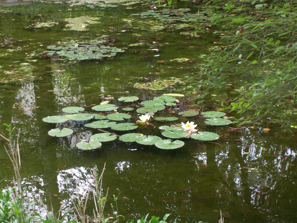 100_6629.JPG