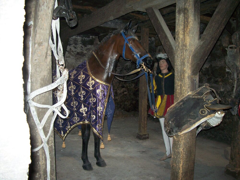 100_6655.JPG