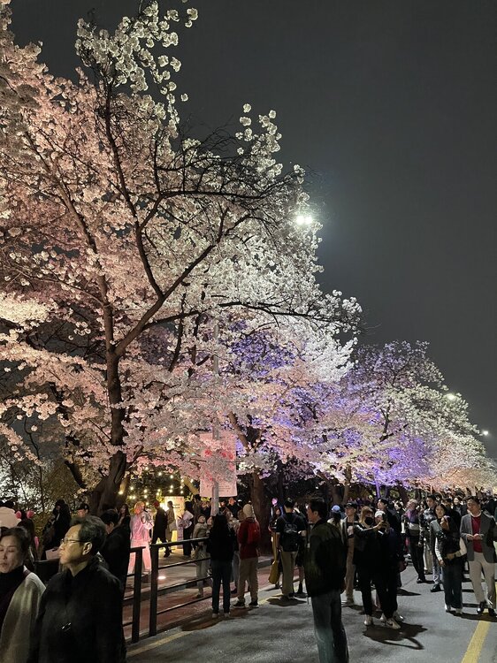 18017E4D-42F6-456F-9342-C859DBCE3B91.jpeg