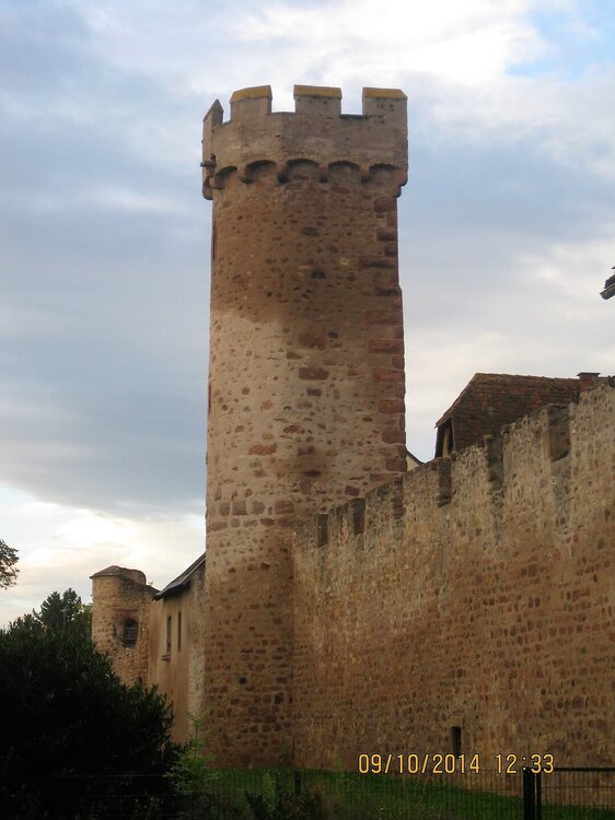 2007.jpg