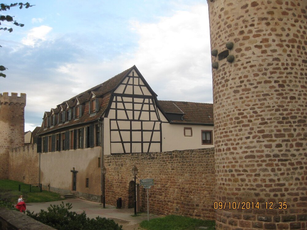 2008.jpg