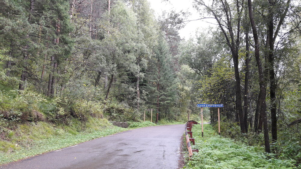 20170824_134325.jpg