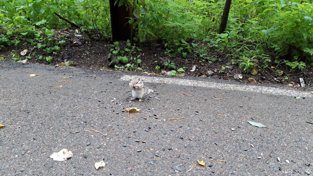 20170824_135752.jpg