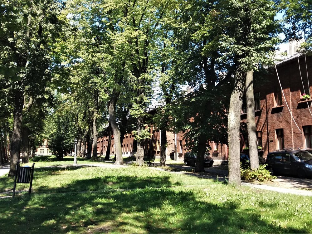 20180812_123652.jpg