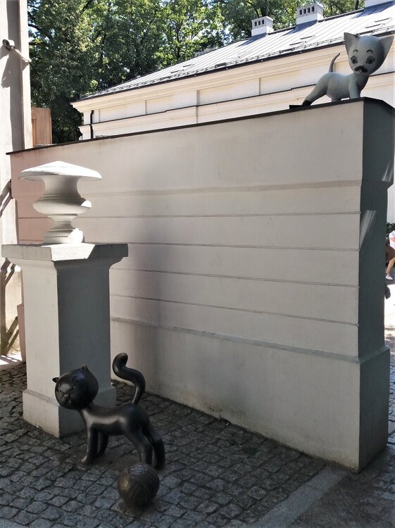 20180812_130236.jpg
