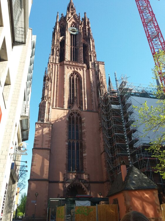 20190419_091103.jpg