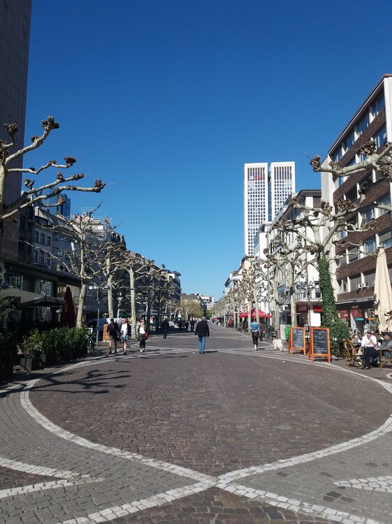 20190419_104316.jpg