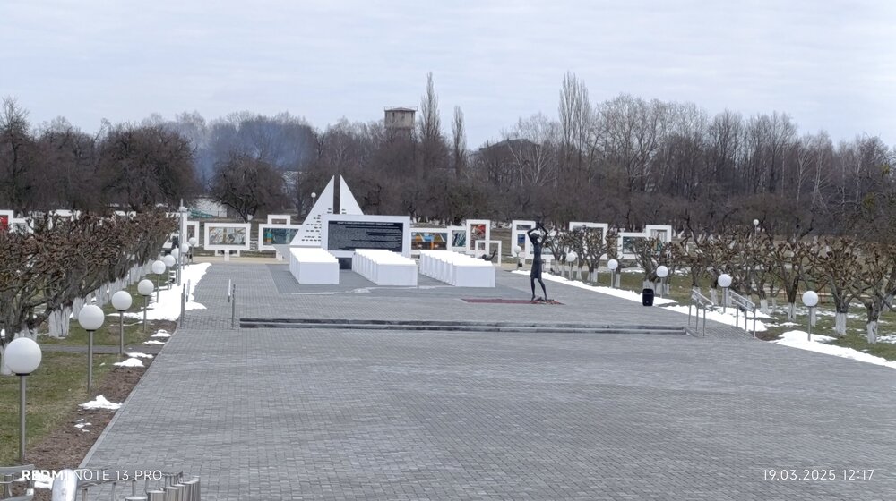2025-03-19 12-17-42.JPG