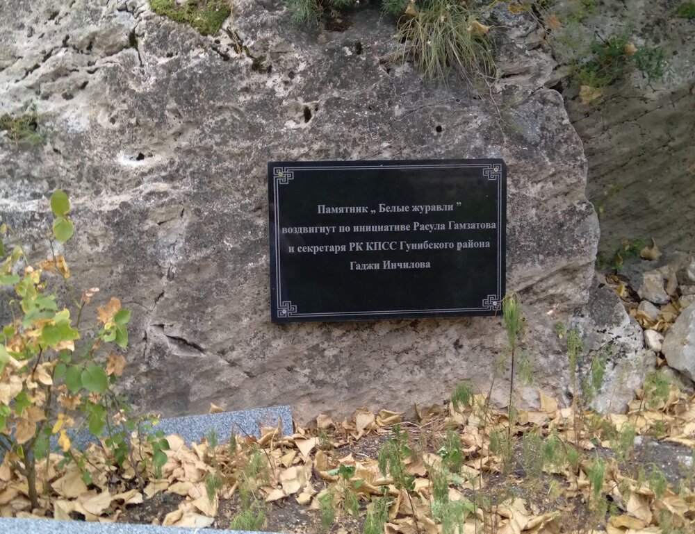 20250810_162745.jpg