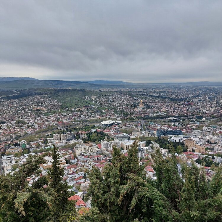 20260424_175216.jpg