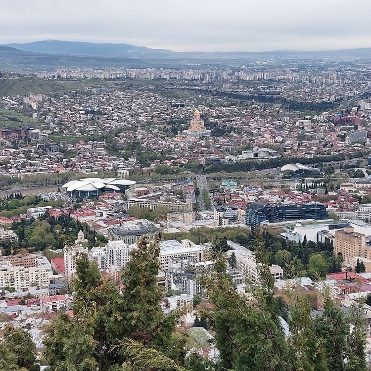 20260424_175246.jpg