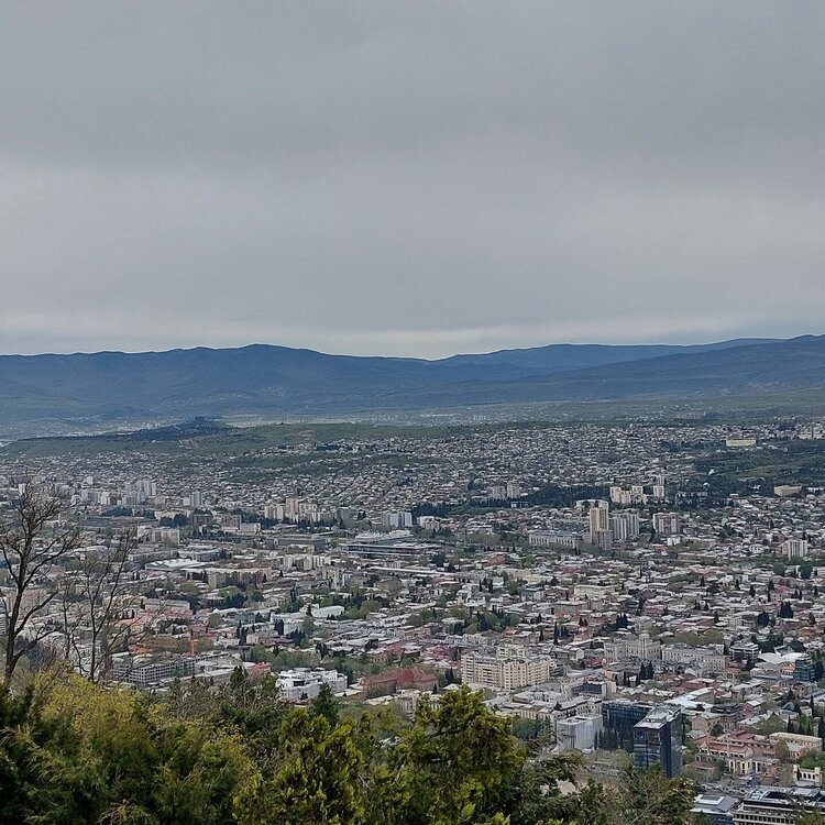 20260424_175255.jpg