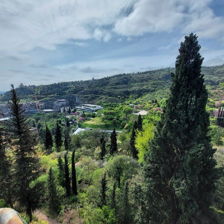 20260426_104839.jpg