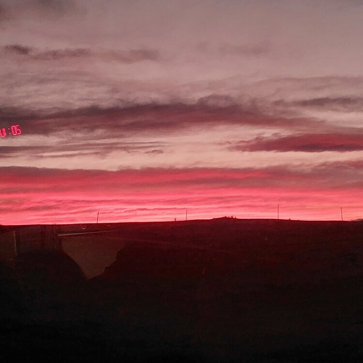 20260427_200656.jpg
