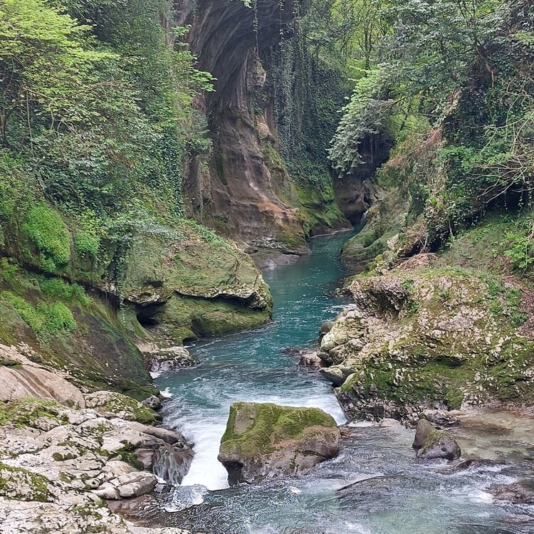 20260429_110014.jpg