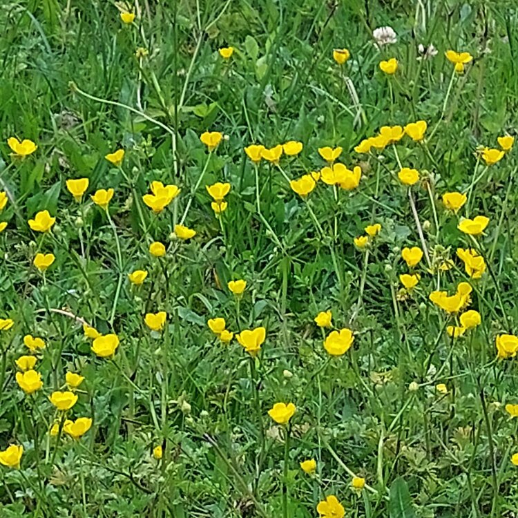 20260429_120656.jpg