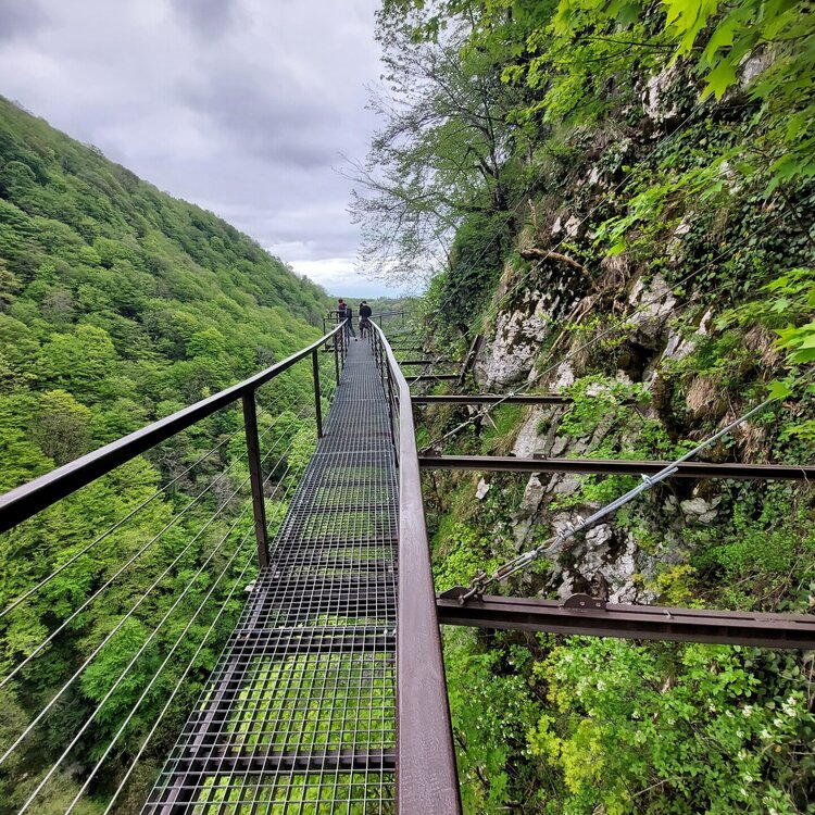 20260429_131212.jpg