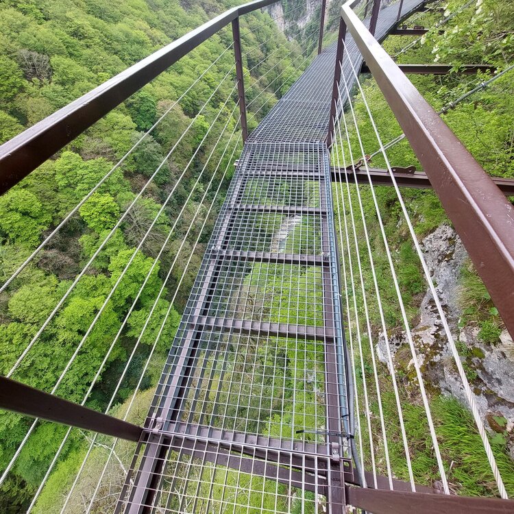 20260429_131625.jpg