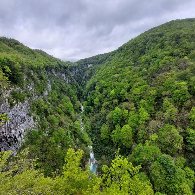 20260429_133641.jpg