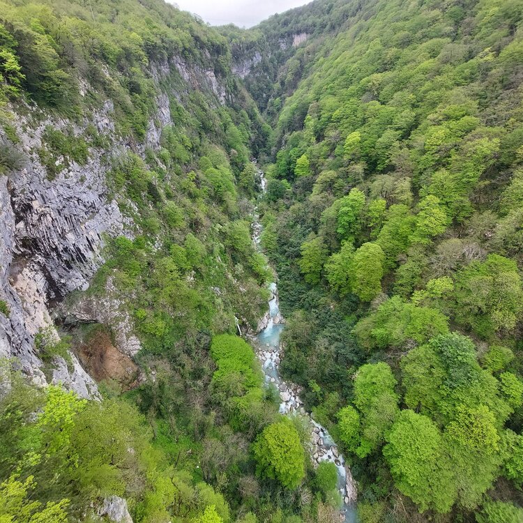 20260429_133823.jpg