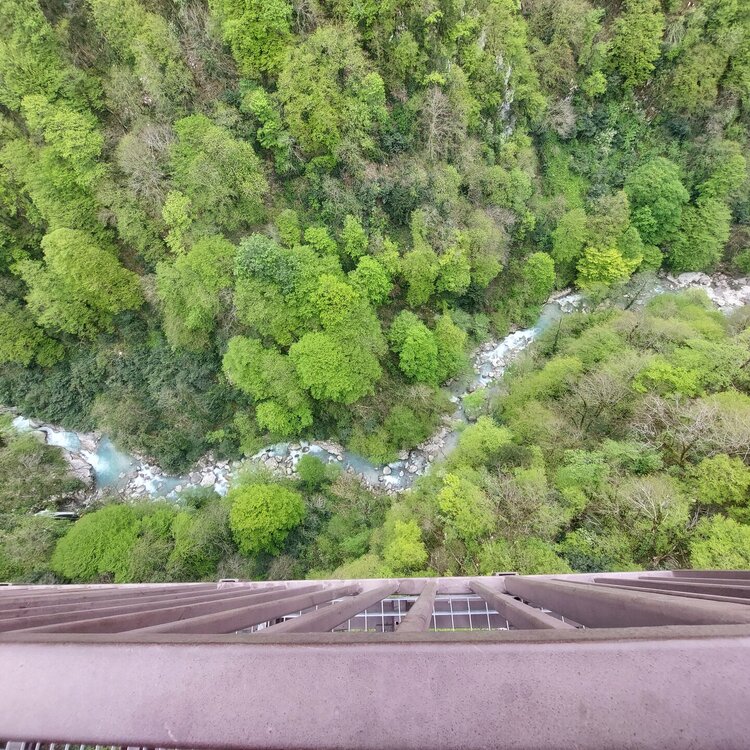 20260429_133924.jpg