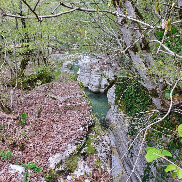 20260429_154208.jpg