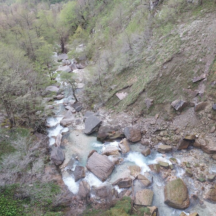 20260429_160038.jpg