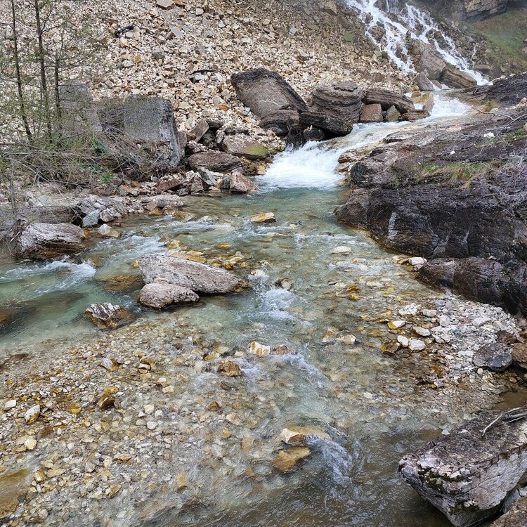 20260429_160256.jpg