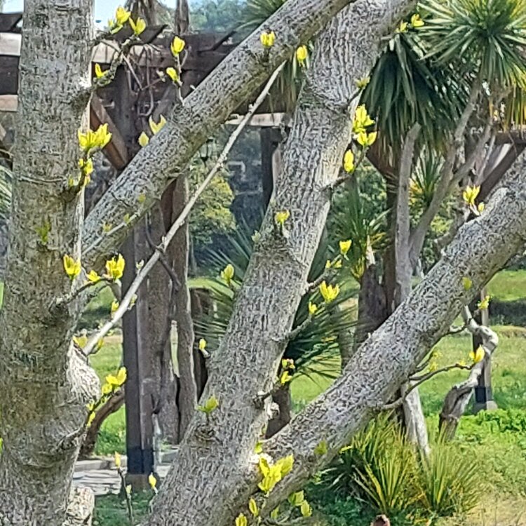 20260501_103052.jpg