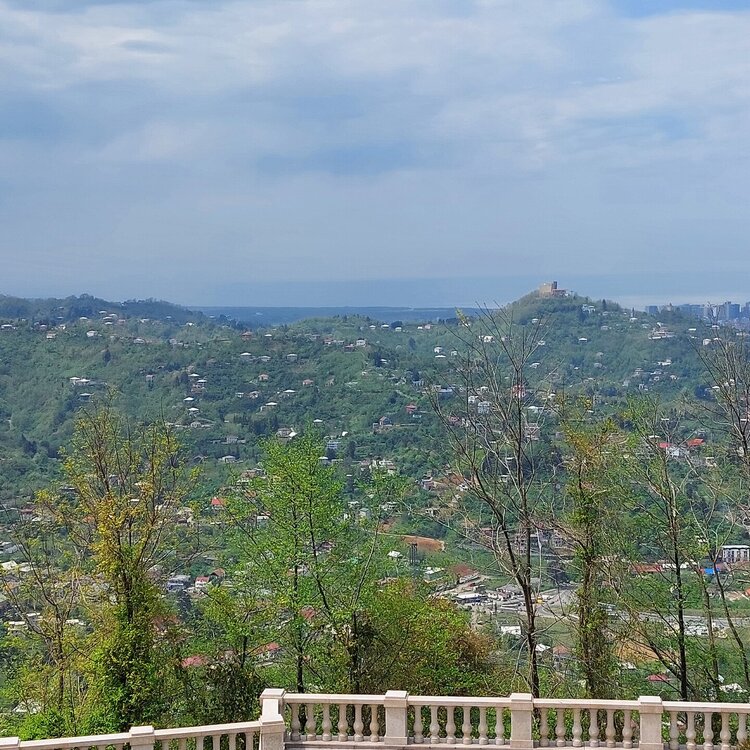 20260501_122437.jpg
