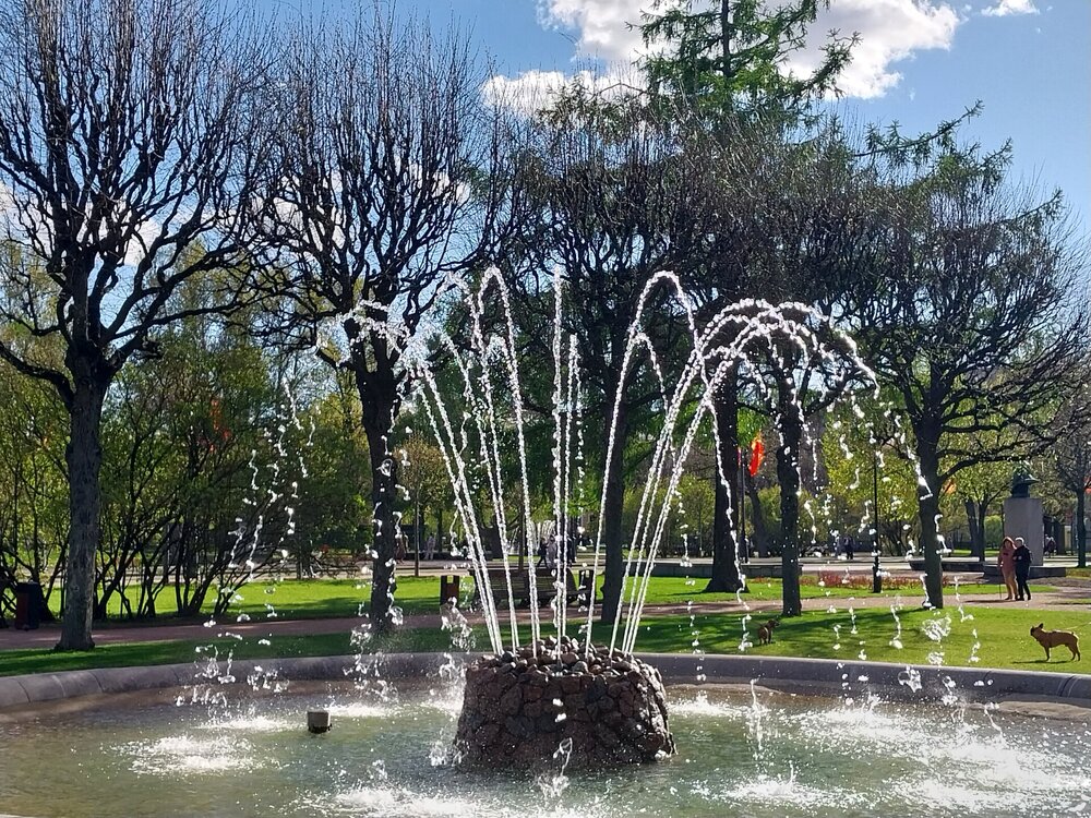 20260508_172555.jpg