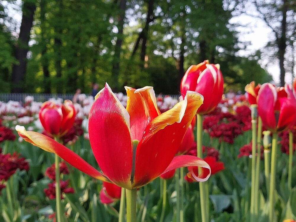 20260519_184055.jpg
