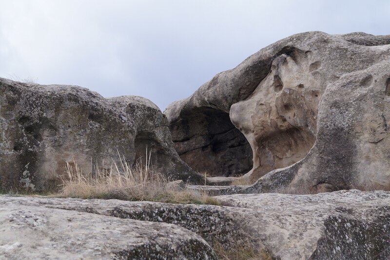 DSC00588.jpg